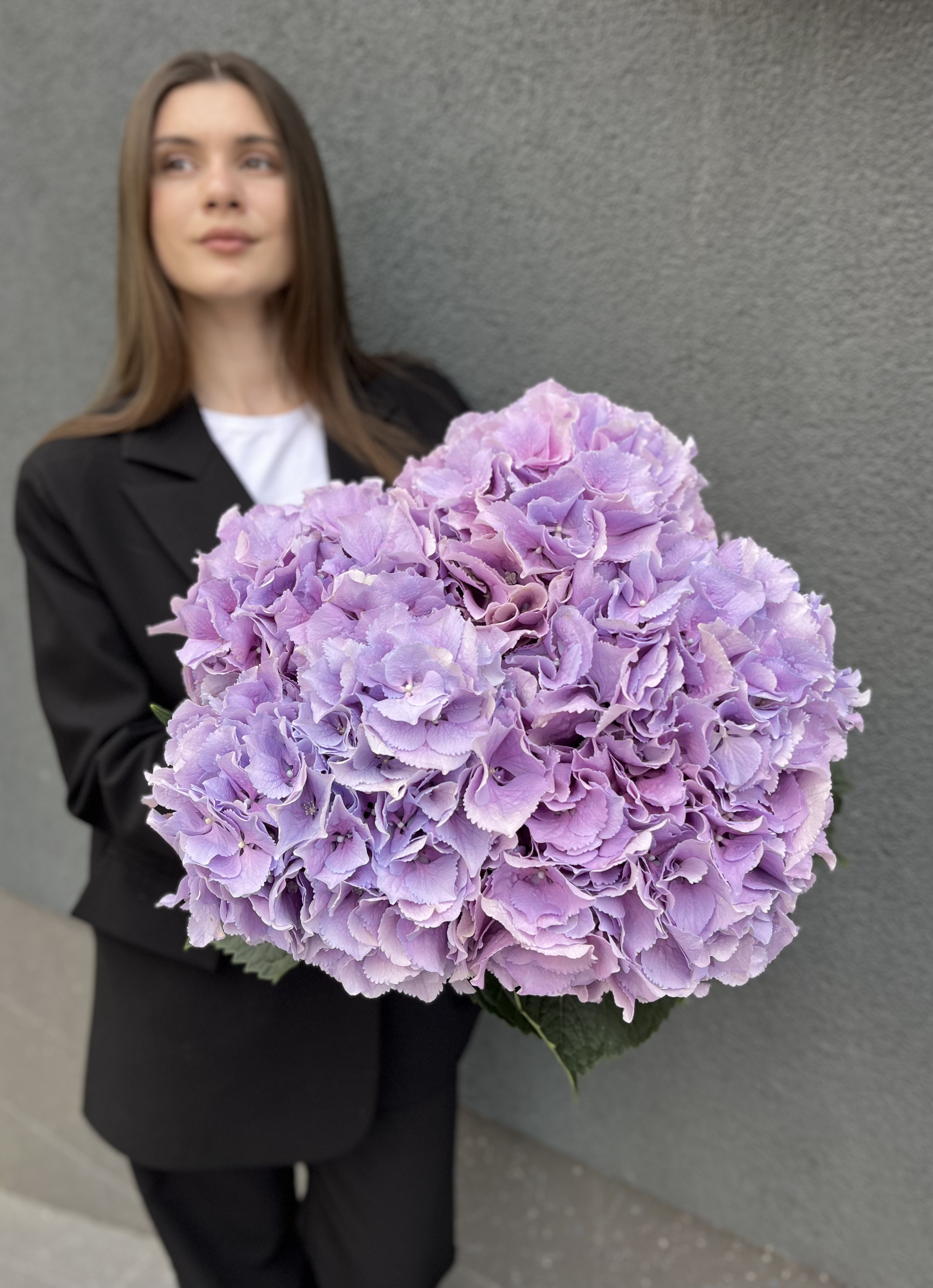 Монобукет з гортензії Benefit