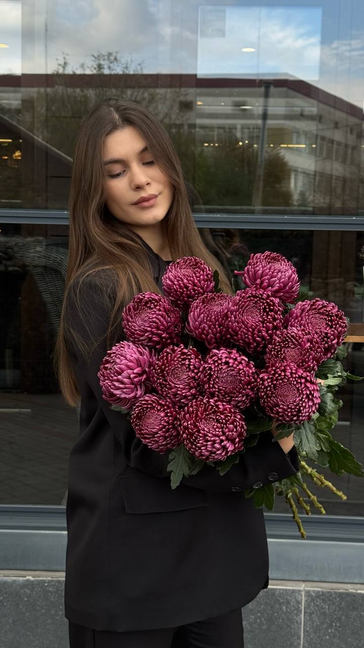 Букет з хризантеми Bigoudi Purple