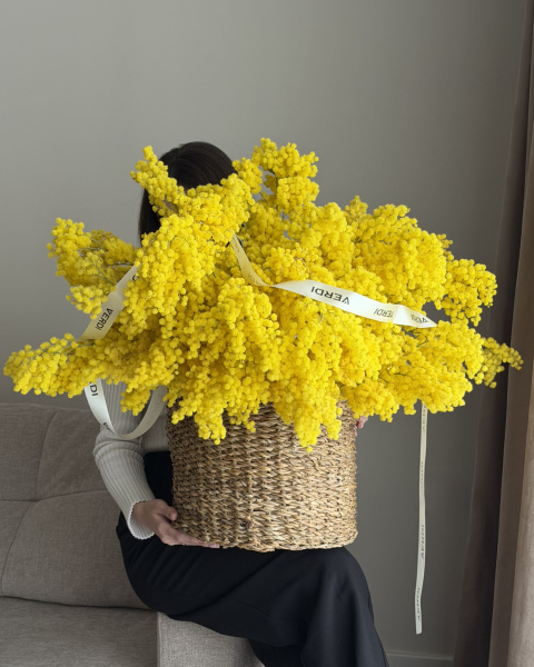 Корзина з жовтої мімози з брендованою стрічкою