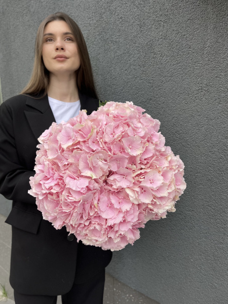 Монобукет з гортензії Verena