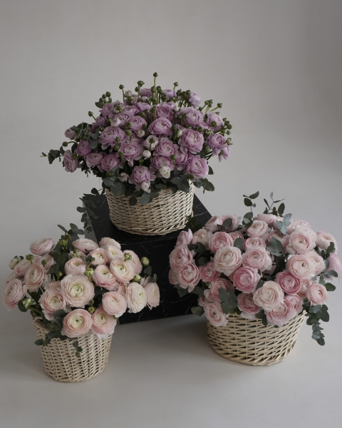 Корзини з ніжно-рожевих ранункулюсів та евкаліпту