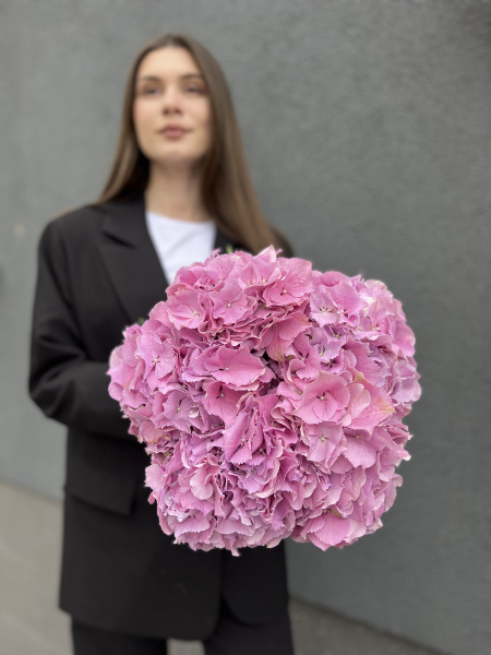 Монобукет з гортензії Royal Benefit 