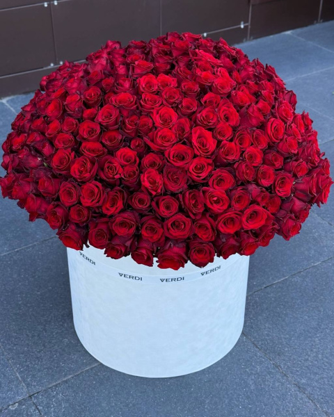 Композиція з троянд Explorer