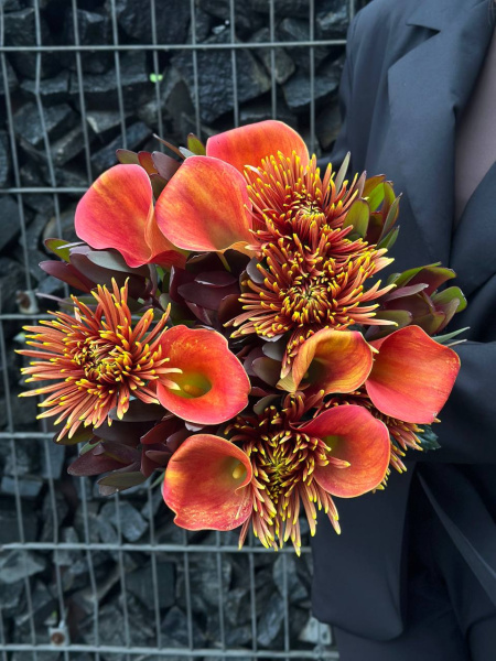 Букет з кал Romance, левкодендрону Safari Sunset та хризантема Safina Dark