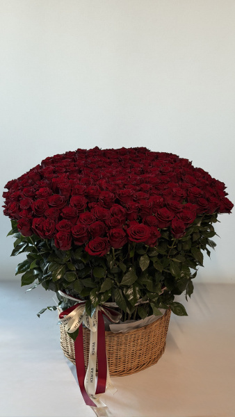 Корзина з великої кількості червоних троянд та стрічками